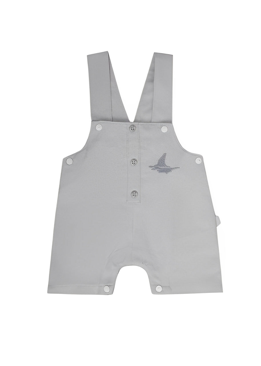 Junior Rouned Printed Jumpsuit Baby Boy -Blue,Gray