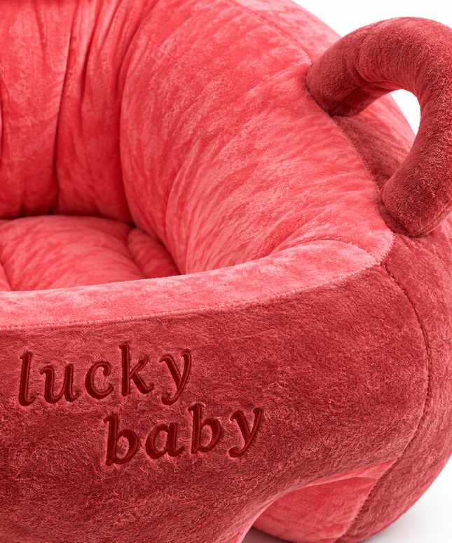 Lucky Baby Bear Learn Seat - 2